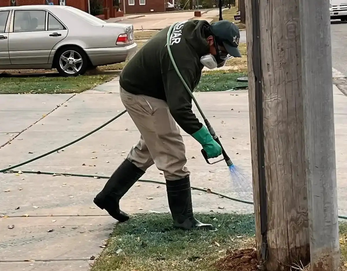 What is Pre-Emergent? How Herbicide Works?