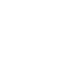 Decorative corner background element used in LawnSpark lawn care website section design