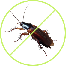 LawnSpark lawn protection service image showing professional lawn care and turf protection treatment services