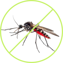 LawnSpark lawn protection service image showing professional lawn care and turf protection treatment services