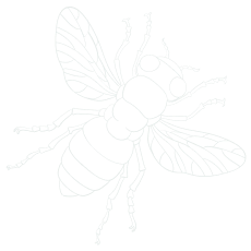 Decorative corner background graphic used in website section design layout