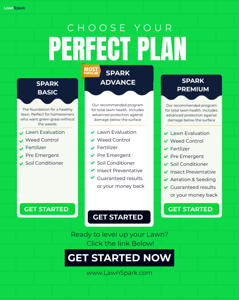 Lawn care pricing plans showing lawn maintenance and landscaping service packages and pricing table