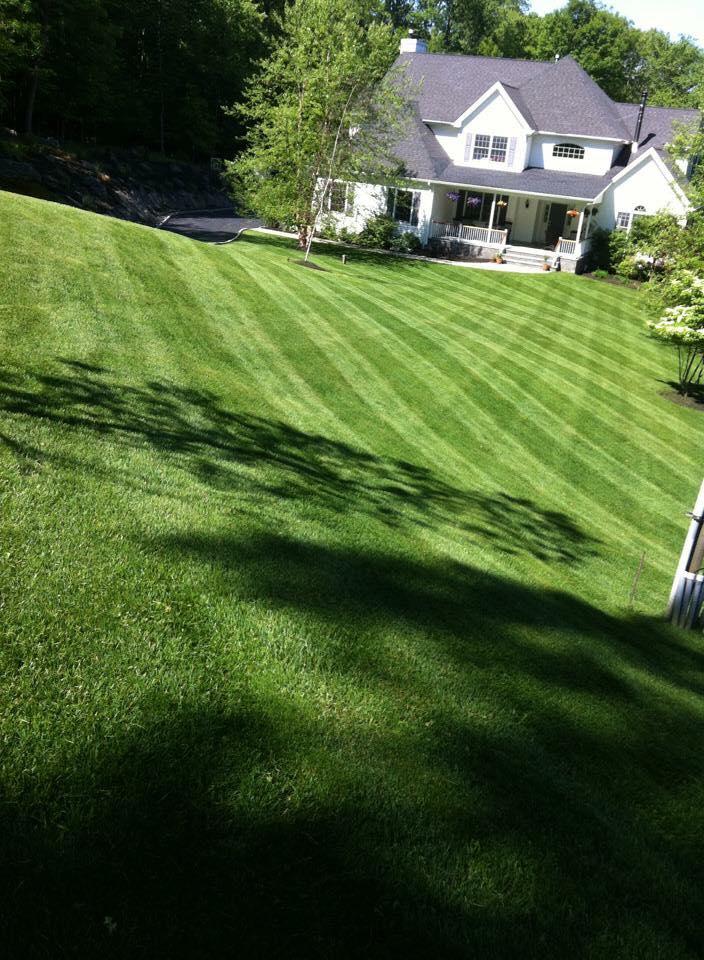 Large green residential lawn with house showing professional lawn care and landscaping maintenance
