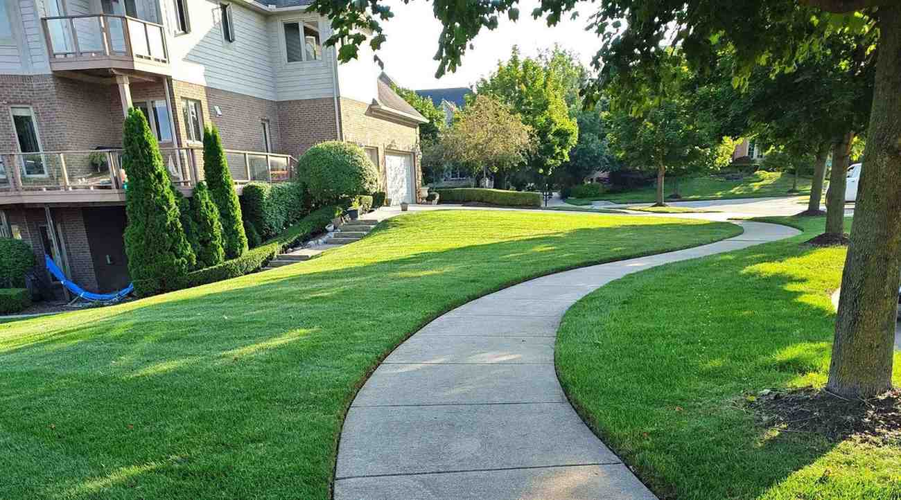 LawnSpark technician performing professional lawn care work including lawn maintenance and weed control service