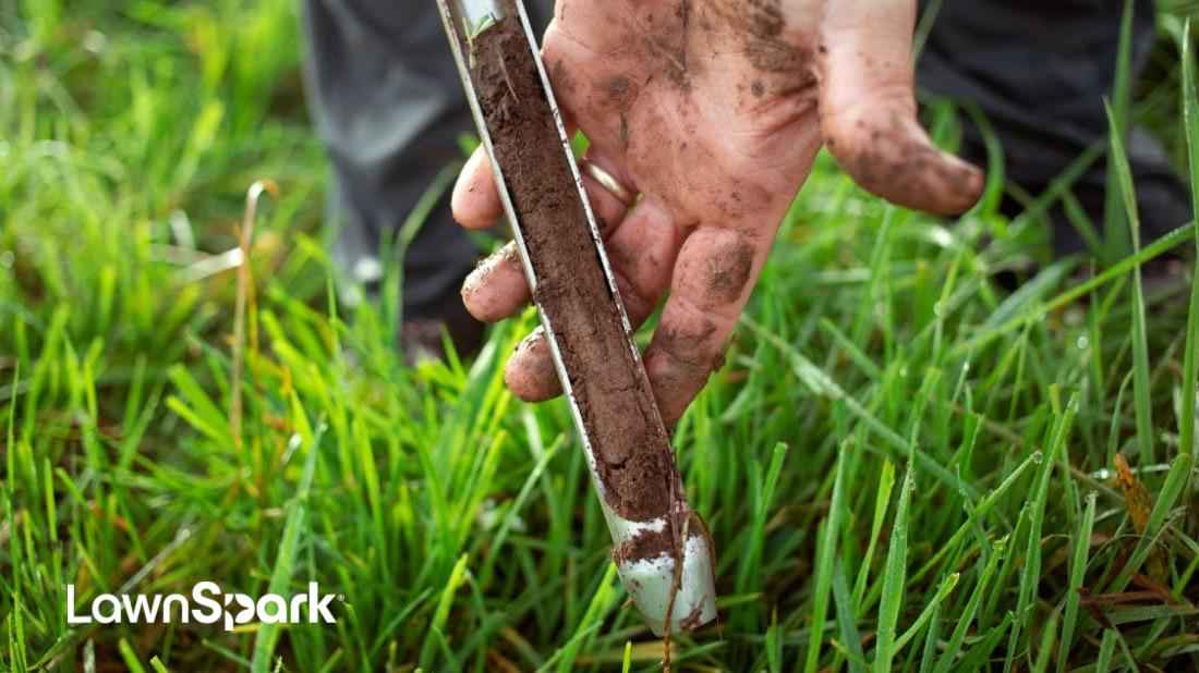 Lawn soil testing process checking soil quality and nutrients for healthy lawn care and grass growth