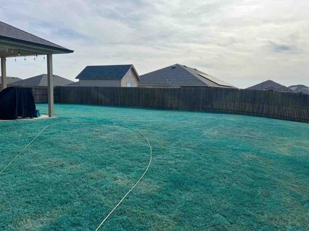 Lawn care professional removing weeds and applying weed control treatment to maintain healthy green lawn