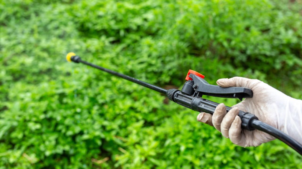 Professional Weed Control Service in Edmond for Healthy Lawn