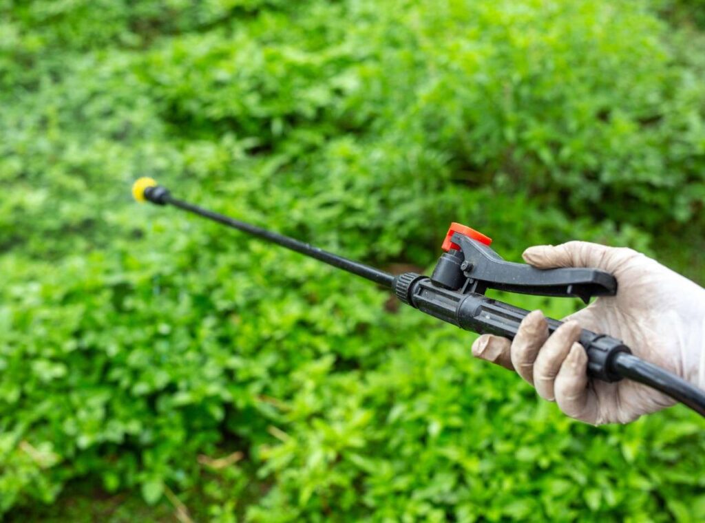 Weed control spray treatment for lawn care service in Edmond